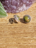 Unakite Stud Earrings