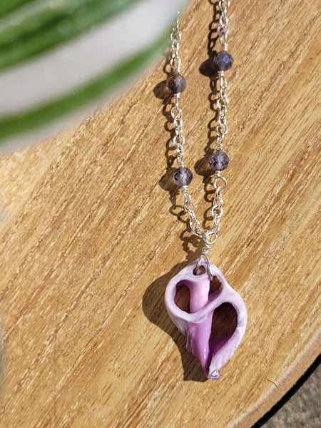 Purple Shell Necklace
