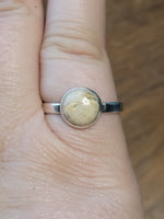 Picture Jasper Ring ~ Size 9.5